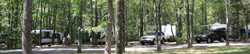 Photo Banner